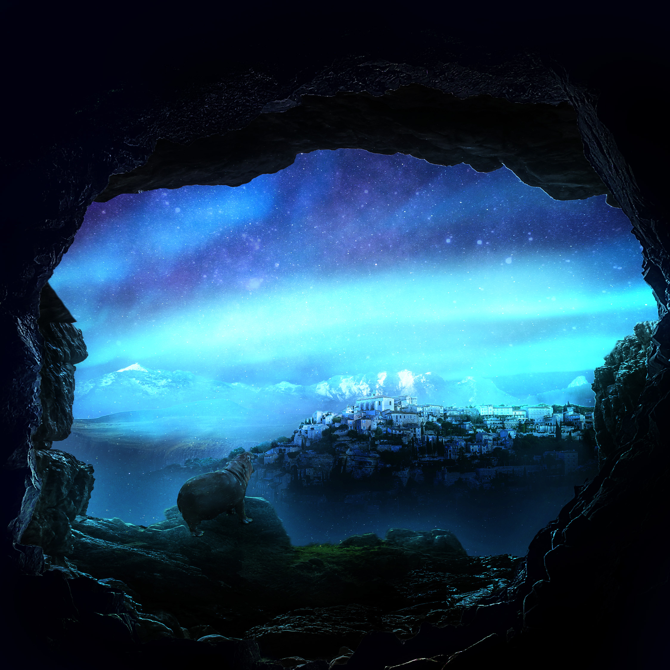 Photo showing an hippotamus viewing over the horizon in the night from a cave